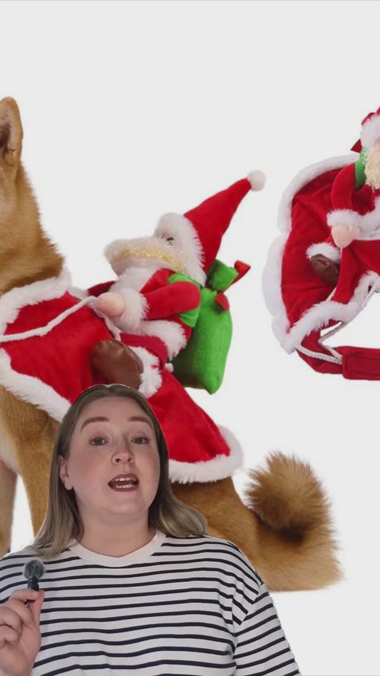 Pet Cat Dog Christmas Costume