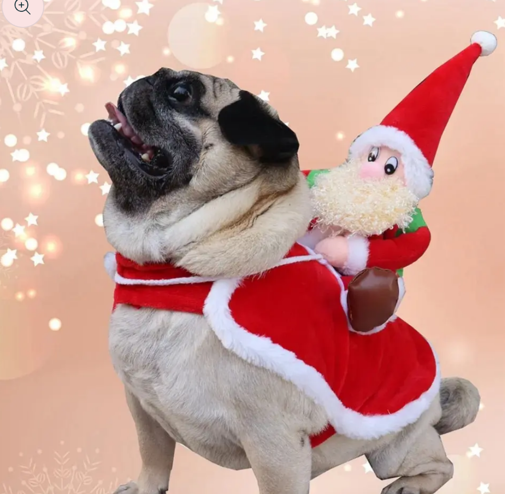 Pet Cat Dog Christmas Costume